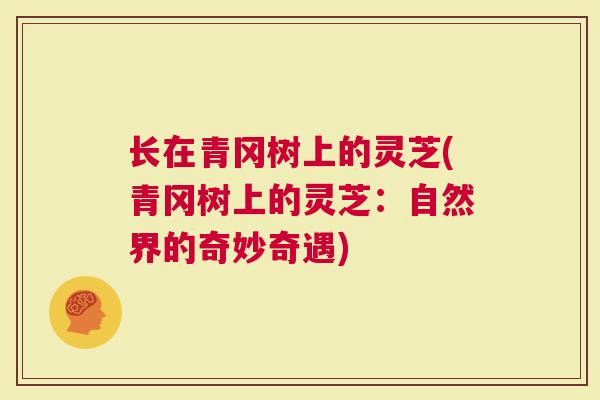 长在青冈树上的灵芝(青冈树上的灵芝：自然界的奇妙奇遇)