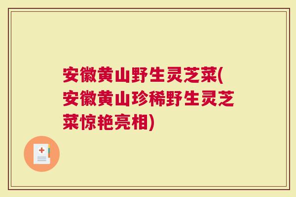 安徽黄山野生灵芝菜(安徽黄山珍稀野生灵芝菜惊艳亮相)