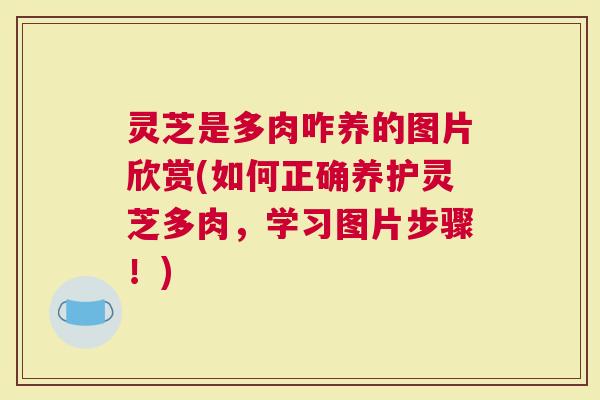 灵芝是多肉咋养的图片欣赏(如何正确养护灵芝多肉，学习图片步骤！)