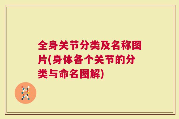 全身关节分类及名称图片(身体各个关节的分类与命名图解)