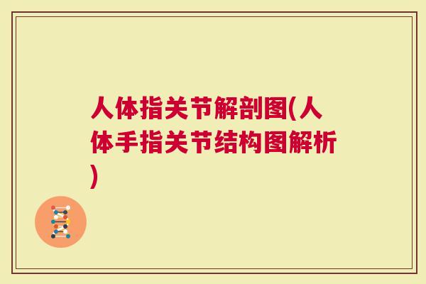 人体指关节解剖图(人体手指关节结构图解析)