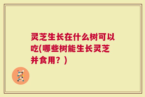 灵芝生长在什么树可以吃(哪些树能生长灵芝并食用？)