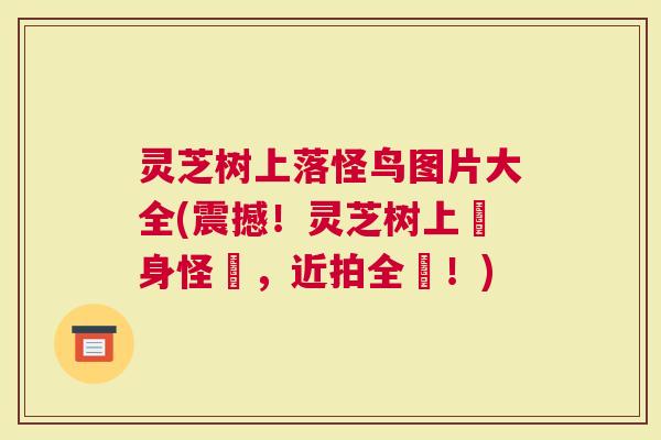 灵芝树上落怪鸟图片大全(震撼！灵芝树上現身怪鳥，近拍全覽！)