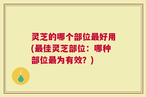 灵芝的哪个部位好用(佳灵芝部位:哪种部位为有效?) 灵芝的哪个部位好用(佳灵芝部位:哪种部位为有效?)