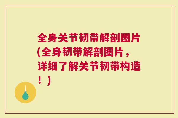 全身关节韧带解剖图片(全身韧带解剖图片，详细了解关节韧带构造！)