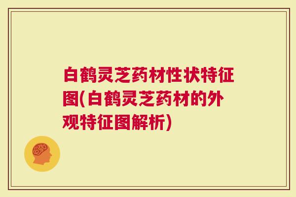 白鹤灵芝药材性状特征图(白鹤灵芝药材的外观特征图解析)