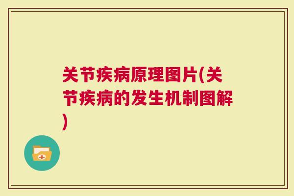 关节原理图片(关节的发生机制图解)