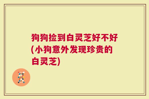 狗狗捡到白灵芝好不好(小狗意外发现珍贵的白灵芝)