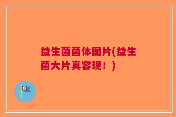 益生菌菌体图片(益生菌大片真容现！)