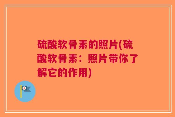 硫酸软骨素的照片(硫酸软骨素：照片带你了解它的作用)