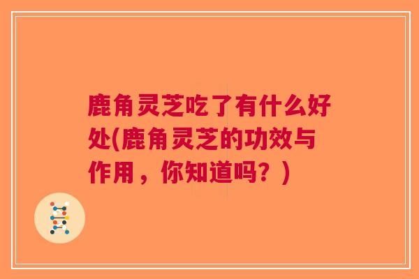 鹿角灵芝吃了有什么好处(鹿角灵芝的功效与作用，你知道吗？)