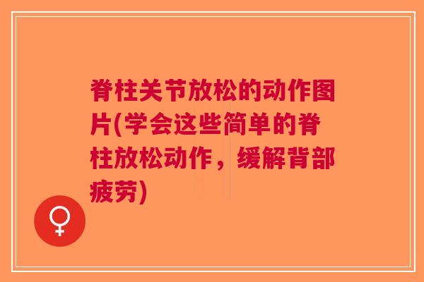 脊柱关节放松的动作图片(学会这些简单的脊柱放松动作，缓解背部疲劳)