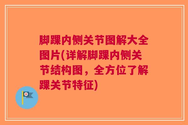 脚踝内侧关节图解大全图片(详解脚踝内侧关节结构图，全方位了解踝关节特征)