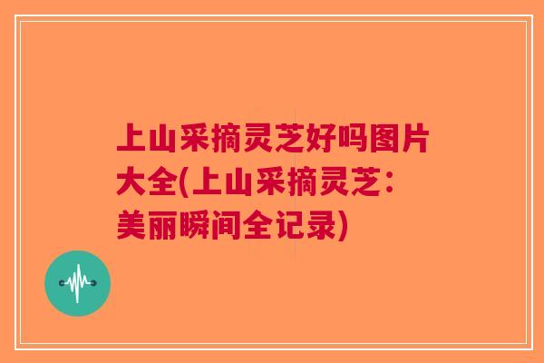 上山采摘灵芝好吗图片大全(上山采摘灵芝：美丽瞬间全记录)