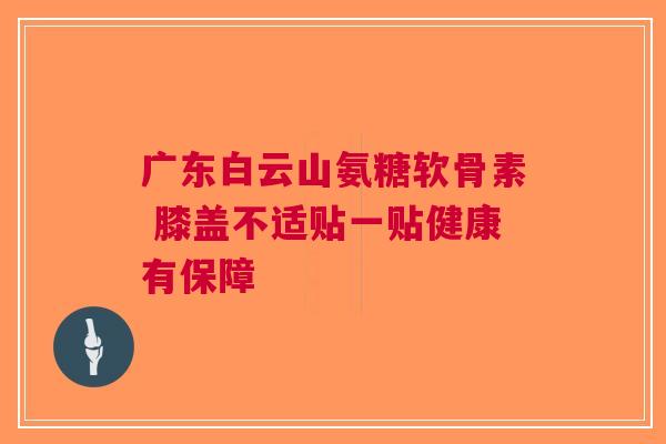 广东白云山氨糖软骨素 膝盖不适贴一贴健康有保障