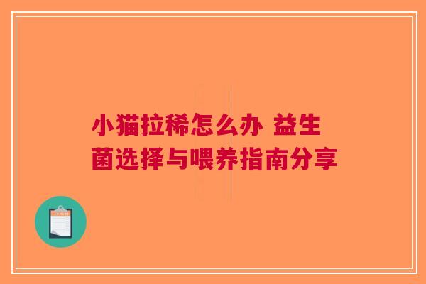 小猫拉稀怎么办 益生菌选择与喂养指南分享