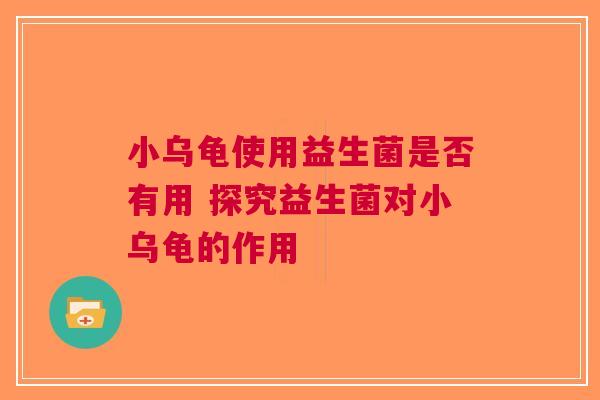 小乌龟使用益生菌是否有用 探究益生菌对小乌龟的作用