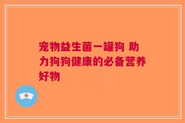 宠物益生菌一罐狗 助力狗狗健康的必备营养好物