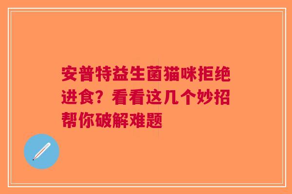 安普特益生菌猫咪拒绝进食？看看这几个妙招帮你破解难题