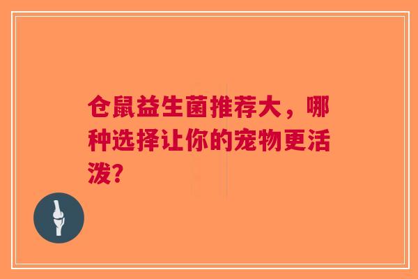 仓鼠益生菌推荐大，哪种选择让你的宠物更活泼？