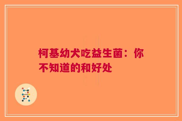 柯基幼犬吃益生菌：你不知道的和好处