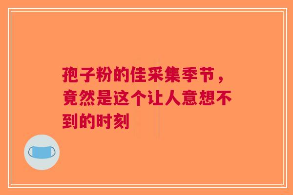 孢子粉的佳采集季节，竟然是这个让人意想不到的时刻