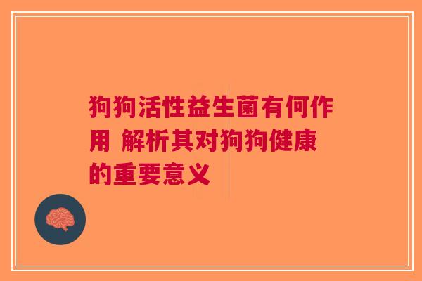 狗狗活性益生菌有何作用 解析其对狗狗健康的重要意义
