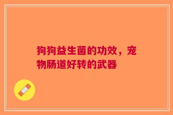 狗狗益生菌的功效，宠物肠道好转的武器